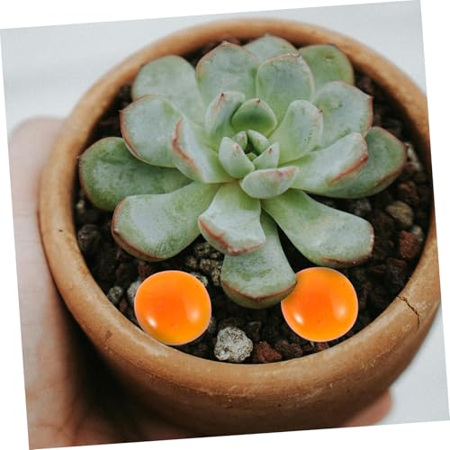 Piedras para manualidades POPETPOP y rellenos de jarrones de vidrio 6