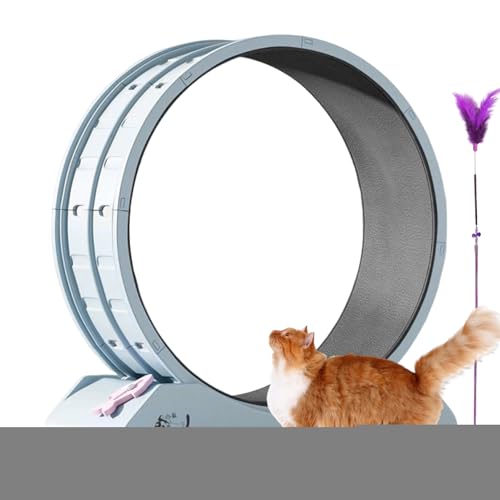 Roue d'exercice pour chat pour la perte de poids et tapis de course