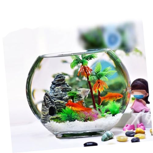 Aquarium de bureau pour poisson rouge : bocal transparent compact - 6