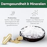 Nature's Protection Superior Care White Dogs Getreidefrei Gesundes Wachstum & Entwicklung Leckerlis mit Insekten für Junior Hunde Aller Rassen, Tränenflecken Reduktion, 150g