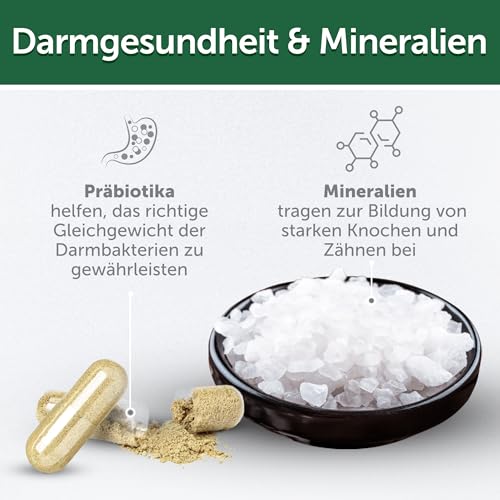 Nature's Protection Superior Care White Dogs Getreidefrei Gesundes Wachstum & Entwicklung Leckerlis mit Insekten für Junior Hunde Aller Rassen, Tränenflecken Reduktion, 150g