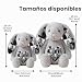 Imagen de Kinetora Conejo Peluche Personalizado con Foto, 28