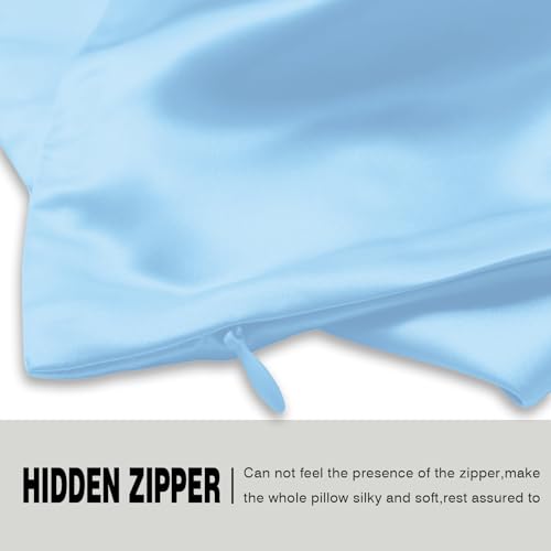 Silk Pillow Cases 2 Pack Soft Breathable and Sliky Standard Size Pillow Cases Set of 2,Natural Mulberry Satin Silk Pillowcase with Hidden Zipper for Hair and Skin (Sky Blue,20"X 26",2pcs)