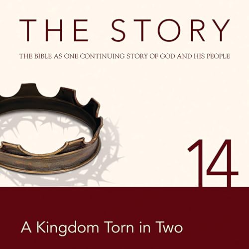 Page de couverture de The Story Audio Bible - New International Version, NIV: Chapter 14 - A Kingdom Torn in Two