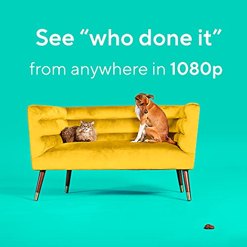 WYZE Cam Pan 1080p Pan/Tilt/Zoom Indoor Pet Monitoring Camera for Dogs & Cats Baby Monitor with WYZE 32GB MicroSD Card… - Image 5