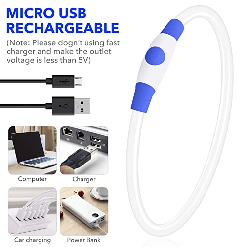 Bseen Led Dog Collar, Usb Rechargeable, Glowing Pet Dog Collar For Night Safety, Fashion Light Up Collar For Small Medium Large Dogs (Royal Blue) #TOP2