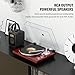 Belt Drive Turntable for Vinyl Record Player,Connect with Bluetooth Speakers or Active Speaker,Built-in Phono Pre-amp,USB Digital Output, Magnetic Cartridge,High-Gloss Wood Design(Red)