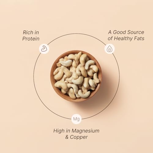 Image of Rostaa Gourmet Salted Cashews 170 gms | Sourced from USA | Rich in Healthy Fats & Protein | Loaded with Copper & Magnesium | Premium & 100% Natural