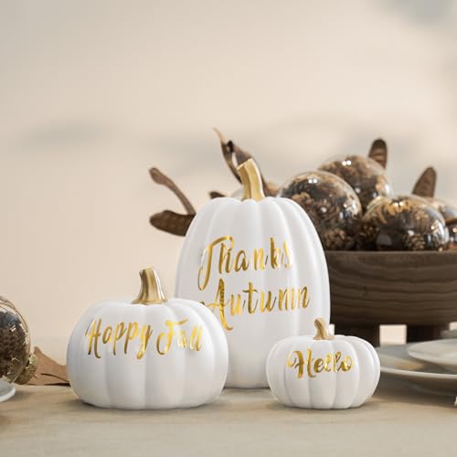 DN DECONATION 3Pcs Fall Pumpkin Decorations for Home, Faux White