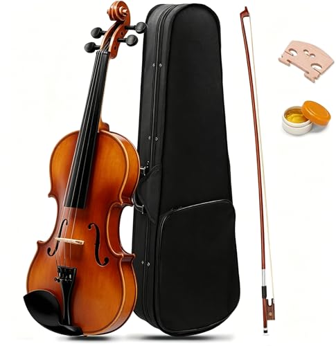 LALAHO 4/4 Full Size Violin for Beginners Students Natural