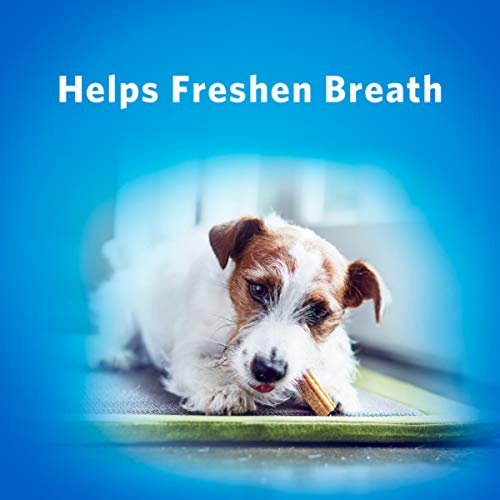 Purina 017800176286 Dentalife Daily Oral Care Chicken Flavor Toy Breed Dog Dental Chews thumb #10