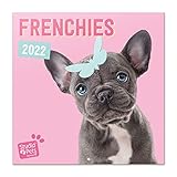 calendario cani 2022 da muro bulldog francese - 12 mesi + 4 in omaggio, 30x30 cm, fsc® - ideale come calendario 2022 da parete, calendario ufficio 2022, calendario cagnolini 2022