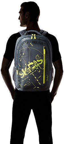 Image of Skybags Pixel 30 Ltrs Grey Casual Backpack (PIXPLS03GRY)
