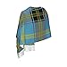 LMNSWDA Classic Clan Bell of the Borders Blue Tartan Plaid Women's Fashion Cashmere Feel with Tassel Large scarf warm party shawl Wraps