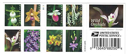 Wild Orchids Book Of 20 First Class Postage Stamps Scott 5444 #TOP1