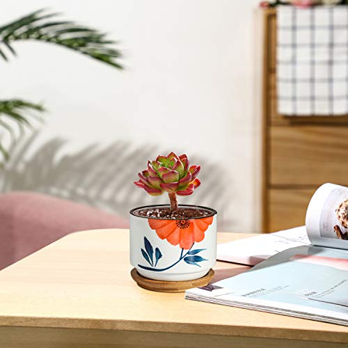 T4U 3 Inch Succulent Pots Japanese Style Collection With Bamboo Saucer Set Of 6, Small Ceramic Plant Planter Cactus Flower Container Aloe Holder Indoor Home Office Decoration Christmas Wedding Gift #TOP3