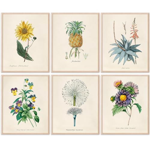 Vintage Botanical Art Prints (Set of 6) - Unframed -
