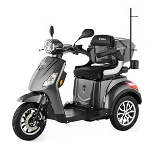 VELECO Dispositivo para discapacitados de 3 Ruedas Para Personas Mayores Minusvalido DRACO 12km/h (Gris)