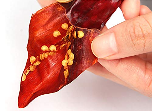 Chaeun Korean Premium Red Chili Pepper Flakes Seasoning Powder Gochugaru 1.1Lb 500G, Origin Korea - Coarse Fine Type 한국산 태양초 고춧가루 (Midium Spicy - Coarse), 1.1 Pound (Pack Of 1) #TOP5