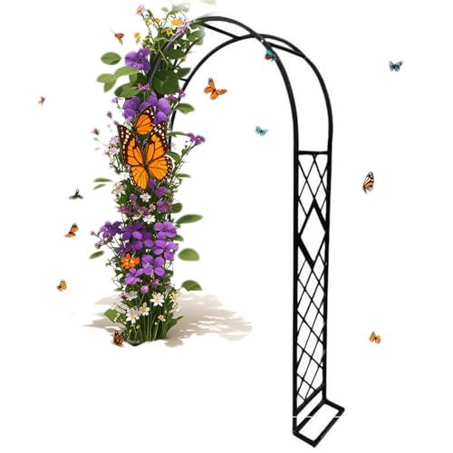 Arche de jardin en métal noir de 2m60 robuste pour plantes grimpantes
