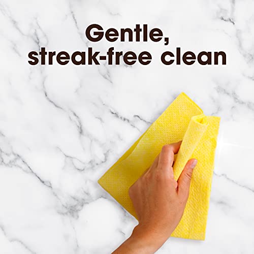 Image of Pledge Granite & Stone Cleaner, Expert Care, Aerosol, Orange Scent, 9.7 oz.