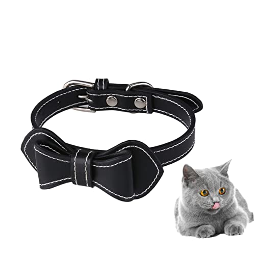 GANAZONO L    tBbg ߉\ ybg   X^C ob