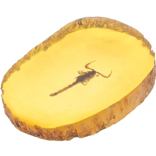 BESPORTBLE 1Pc Bernstein Fossiles Insekt Künstliches Bernsteininsekt Exemplar Anhänger Skorpione Insekten Bernstein Steinsammlung Ovale Verzierung für Freunde Kinder Kinder (Skorpion)