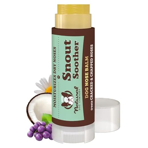 Natural Dog Company Snout Soother Balm – Dog Nose Balm for Dry Cracked Snouts, Moisturizing Winter Nose Care with Coconut Oil & Shea Butter, Lick Safe Dog Snout Balm for All Breeds, 0.15 oz Stick