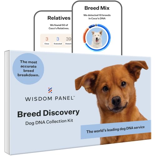 Wisdom Panel Breed Discovery