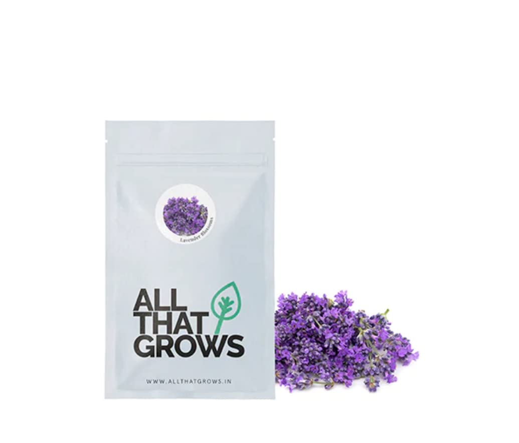 AllThatGrows Lavender Blossoms Edible Medicinal Plant Flower Seeds For Gardening - Pack of 500 Seeds (B07HKHXZK4) Amazon Price History, Amazon Price Tracker