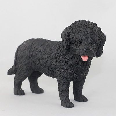 black toy cockapoo