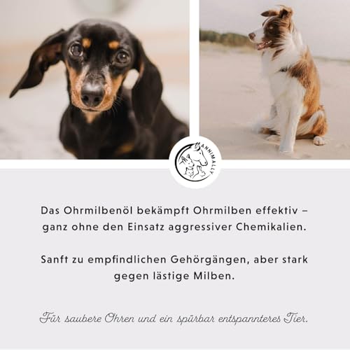 Ohrmilben Hund Akut hochwirksames Sofortmittel - Ohrmilbenöl gegen Juckreiz bei Ohrmilben und Grasmilben Hund - Ohrentropfen für Hunde mit Aloe Vera und Eukalyptusöl - Ohrentropfen Hund Entzündung