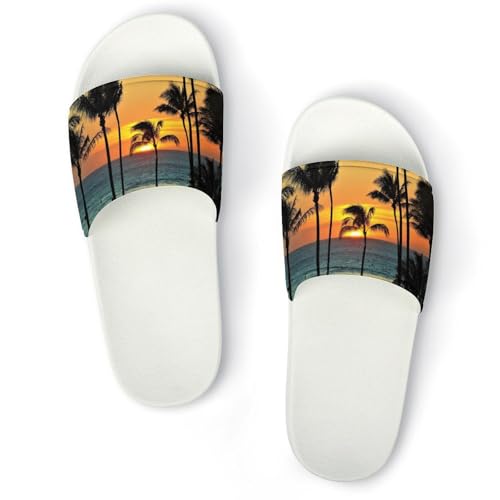 [ZKCASA] Xbp nC [ CƃV̖  [V[Y jp  T_ y OJ ~ 􂦂 p qp Cp v[g 38 (240mm)