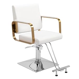 Winado Salon Chair Styling Barber Chair, Beauty Salon Spa Equipment with Heavy Duty Hydraulic Pump, Adjustable Height & 360° Swivel for Barber Shop Hair Stylist, Max Load 330 lbs(White)