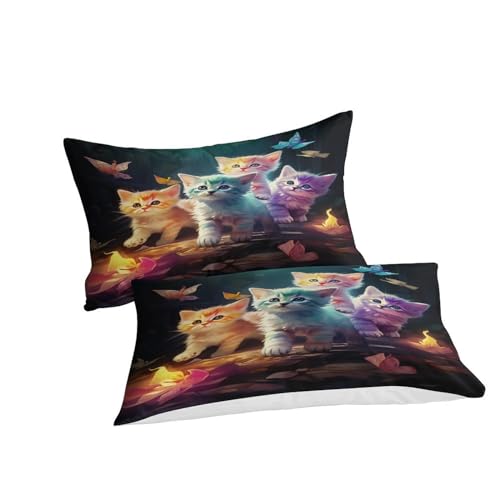 Parure de lit microfibre douce chatons avec fermeture éclair invisible pour lit double