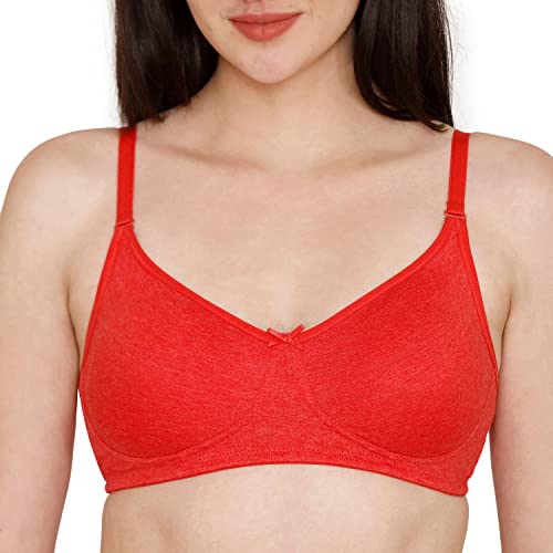 Image of Rosaline Cyber Grove Everyday Double Layered Non Wired 3 /4th Coverage T-Shirt Bra (Pack of 2) for Women - Red Grey