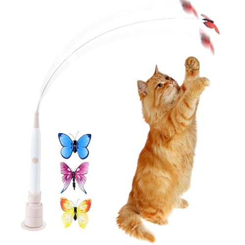 L,C^NeBuX}[gz -  dq L炵 - ǂh ދ y ^ Gb`ĝ