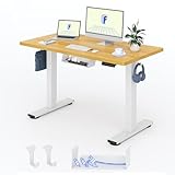 FLEXISPOT