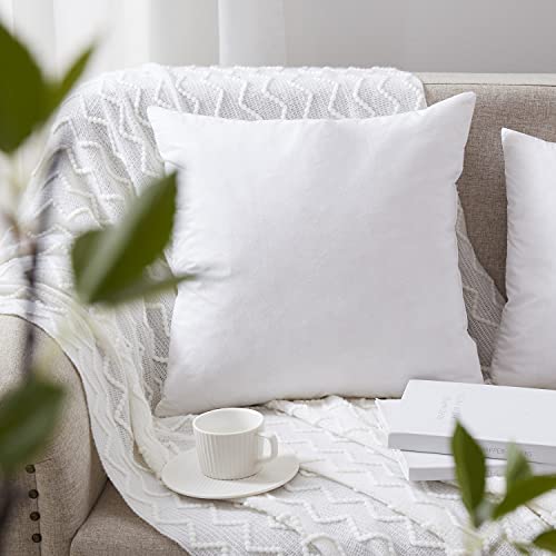 Ysther Down Feather Throw Pillow Inserts 20X20 Set Of 2 Square Form Sham Stuffer Premium Hypoallergenic Cotton Lumbar White Decorative Sofa Cushion Couch #TOP3
