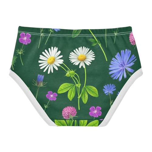 Cotton Girls Underwear Toddler Green Floral Wildflowers Daisies Panties for Girl Personalized Underpants Briefs 2t2
