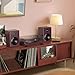 RetroAudio Vinyl Record Player with 24W Bookshelf Speakers(Powerful Bass), HiFi System Turntable for viny records, Vintage Vinyl Player with Magnetic Cartridge, BT IN&OUT, RCA OUT, Auto Stop, 33/45RPM