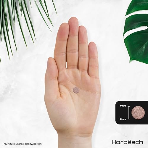 Schwarzer Knoblauch 15.000mg | 180 Schwarze Knoblauchtabletten | aus konzentrierter Knoblauchextrakt | Hochdosiert und Vegane | Aged Black Garlic Supplement | von Horbaach