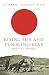 Rising Sun and Tumbling Bear: Russia's War with Japan (Cassell Military Paperbacks)