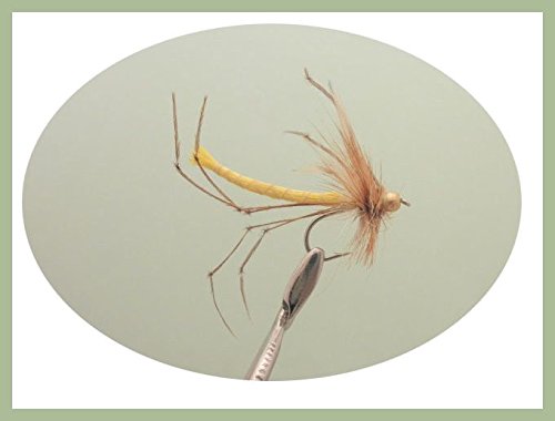 Daddy gambe lunghe, 6 x testa in oro giallo staccato corpo taglia 10, per pesca a mosca
