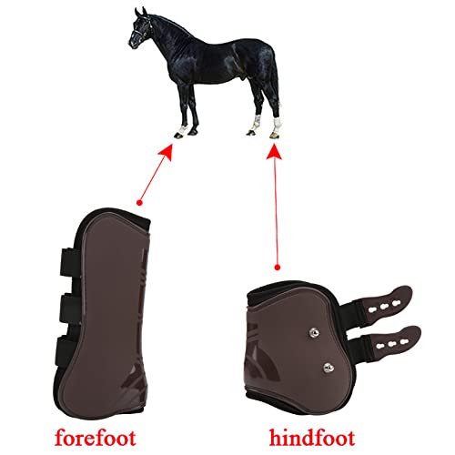 Horse Boots for Front and Hind Legs, 4Pcs PU Horses Tendon Fetlock Brace Guard Boots, Protective Horse Leg Wraps for Riding, Shock Absorbing, Jumping, Horse Gears(M)
