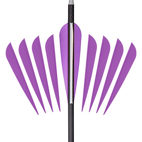 image for Letszhu Arrows Vanes 4 Inch Plastic Feather Fletching for DIY Archery 