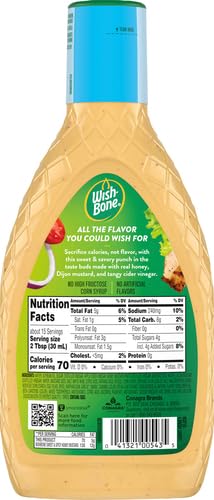 Image of Wish-Bone Light Honey Dijon Salad Dressing, 15 FL OZ (Pack of 2)