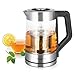 Emerio Glas Teekocher mit Temperaturwahl [50|70|80|90|100°C], WK-122730, Wasserkocher, manuelles Teesieb aus Edelstahl entnehmbar, Borosilikatglas, BPA frei, 1.7l Volumen, 2200 Watt, Silber