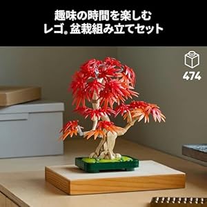 Amazon.co.jp - レゴ® ボタニカル 盆栽 もみじ 10348