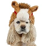 ペットパラダイス 犬 服 帽子 干支 午 うま お正月 コスチューム 馬 ウマ 2026年 変身 なりきり 着ぐるみ おもしろ 年賀状 写真 sns コスプレ かわいい インスタ映え ブラウン 小型犬 【参考 SM M 柴犬 (首周囲31-40cm ～18kg) ペットパラダイス国内直営店72店舗展開2025/10/1時点】 衣類小物 注目